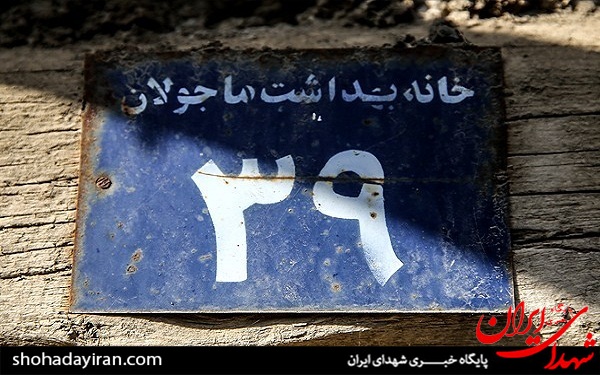 عکس/ فعالیت 