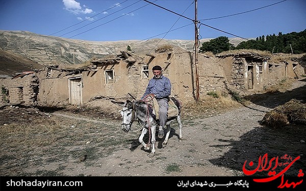 عکس/ فعالیت 