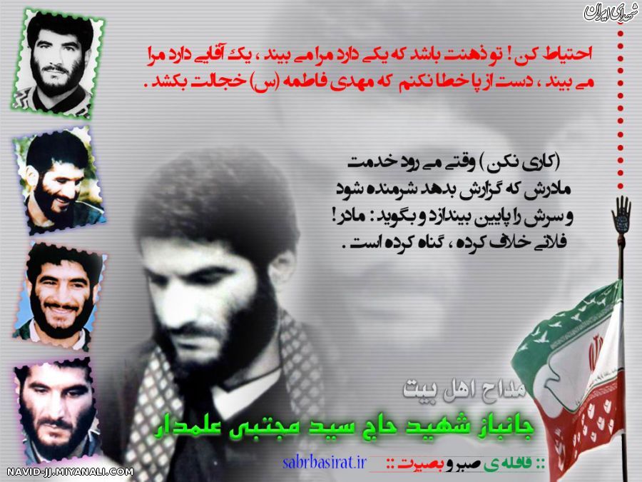 احتیاط کن...یک آقایی دارد مرا می‌بیند!+عکس
