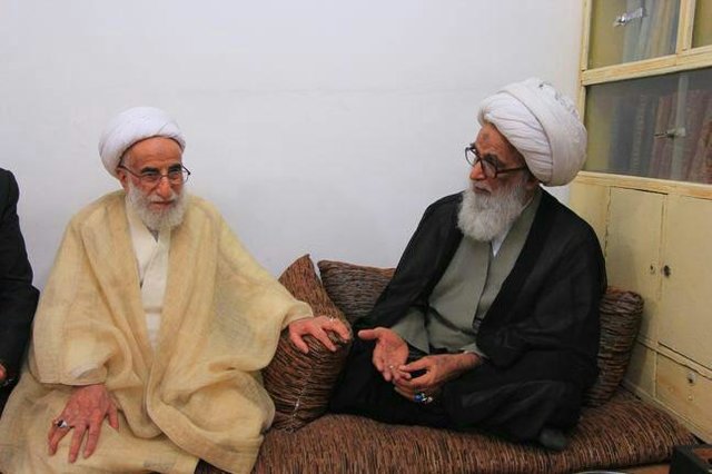 دیدار آيت‌الله جنتی با یکی از مراجع نجف+عکس