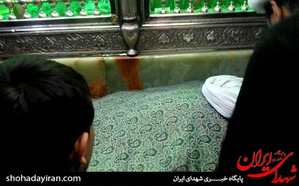 عکس/ تدفین حجت الاسلام شجونی در امامزاده صالح