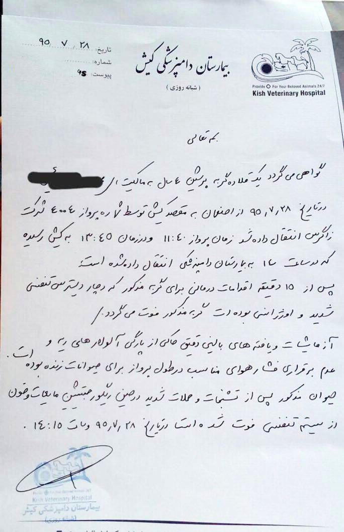 گواهی عجیب فوت گربه در پرواز اصفهان! +عکس گواهی عجیب فوت گربه در پرواز اصفهان! +عکس