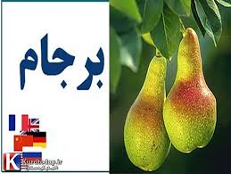 گلابی برجام جوانه نزده،کرم خورده شد! گلابی برجام جوانه نزده،کرم خورده شد!