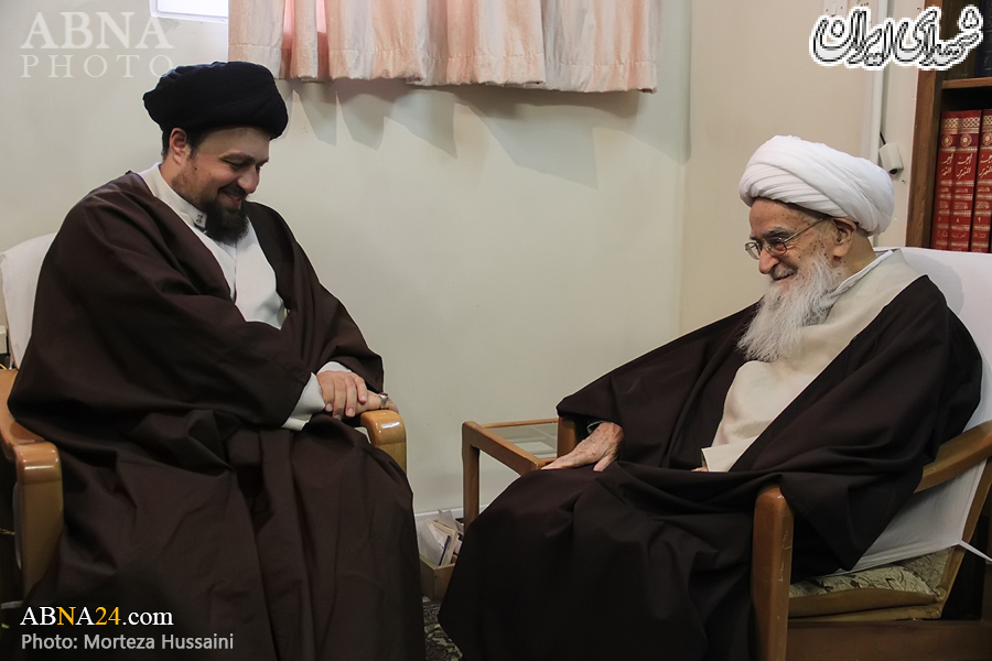 دیدار سیدحسن خمینی با آیت‌الله صافی+عکس