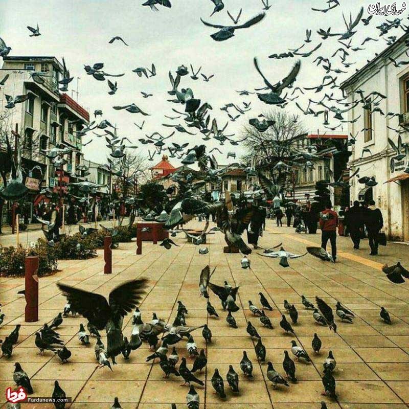 اینجا اروپا نیست،شهر بارانی رشت است+عکس