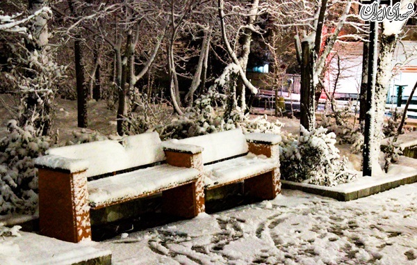 عکس/ بارش برف در تهران