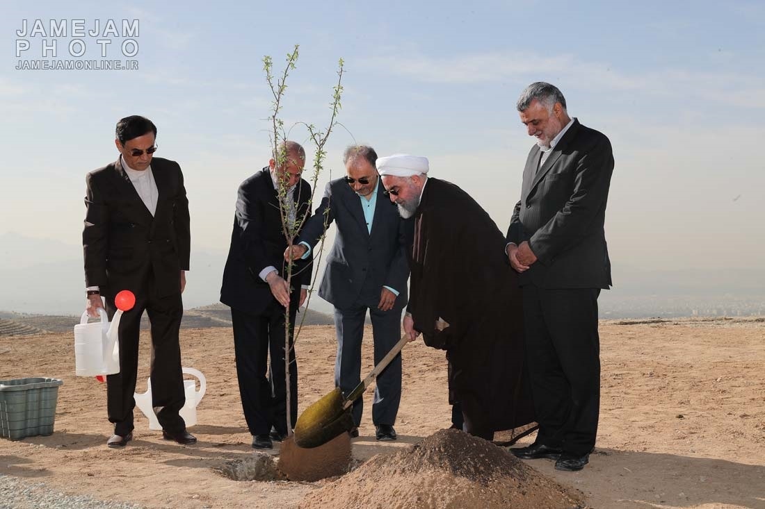 صبح امروز: کاشت نهال توسط 