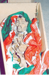 مسافر گمگشته دير آمد اما همه را شگفتزده ... + عکس