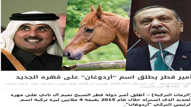 امیر قطر نام اسب خود را اردوغان گذاشته است امیر قطر نام اسب خود را اردوغان گذاشته است