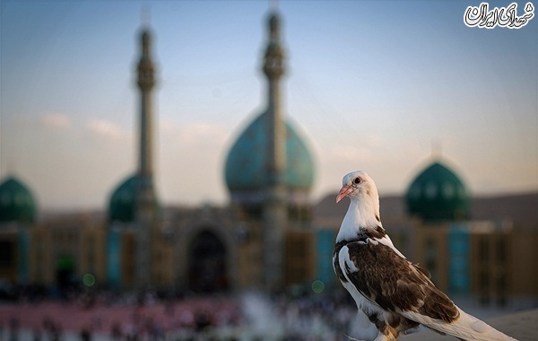 عکس/ جمکران در آستانه نیمه شعبان