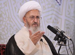 آیتالله سبحانی: سند 2030 باید ابطال شود