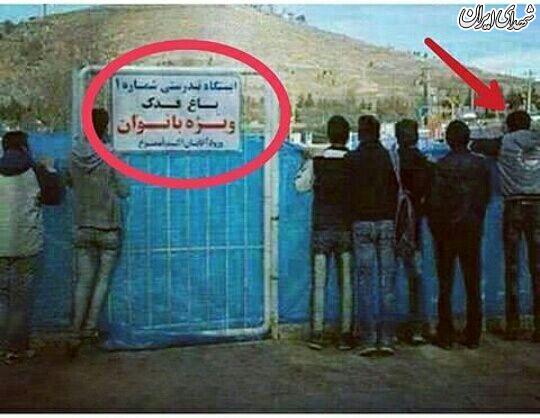 عکس/ بدون شرح و تأسف بار!