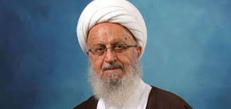 آیت الله مکارم شیرازی: خودرو حریم خصوصی نیست