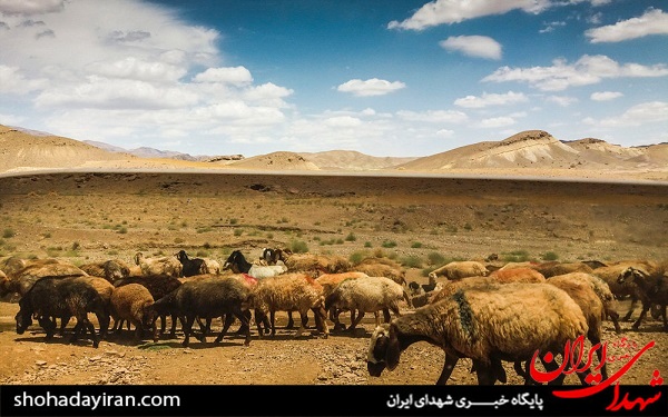 عکس/اردوی جهادی تعدادی دانشجودرروستاهای محروم