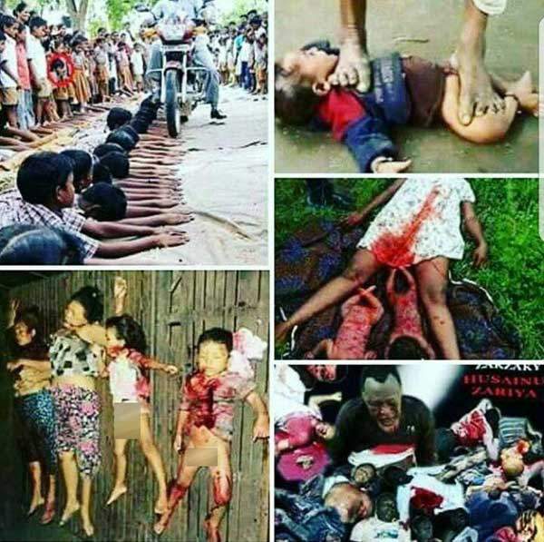 تصاویر تکان دهنده از نسل کشی مسلمانان میانماز تصاویر تکان دهنده از نسل کشی مسلمانان میانماز