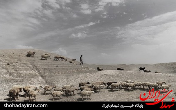 عکس/ خراسان شمالی در حسرت آب