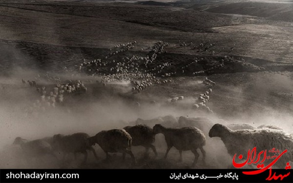 عکس/ خراسان شمالی در حسرت آب