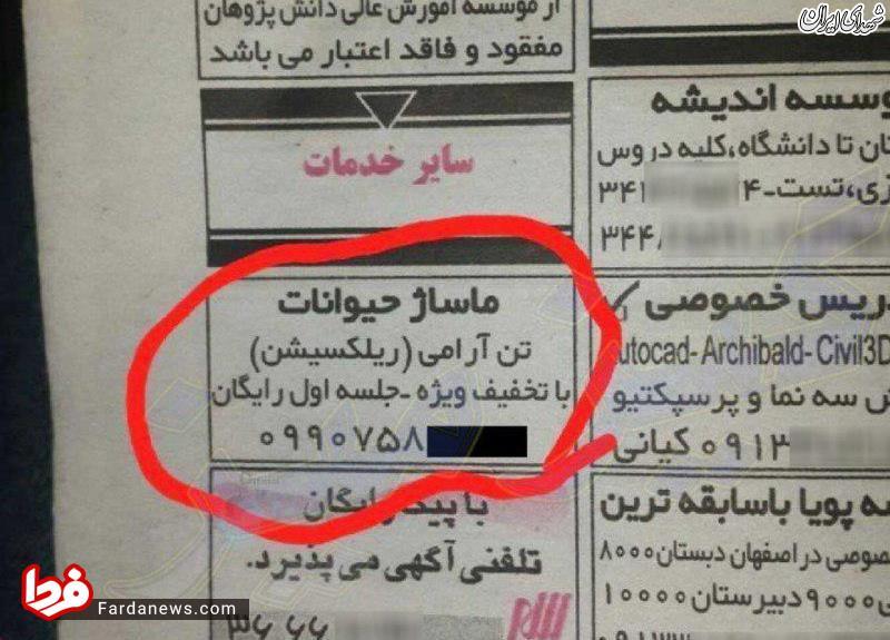 آگهی عجیب برای ماساژ حیوانات خانگی! +عکس آگهی عجیب برای ماساژ حیوانات خانگی! +عکس
