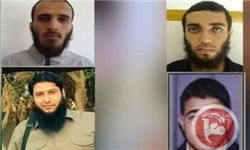 بازداشت چندین تکفیری در نوار غزه