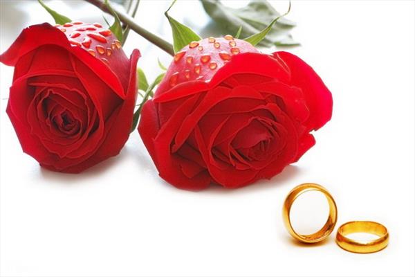 ماجرای ازدواج دختر علامه مجلسی با طلبه ای مستمند