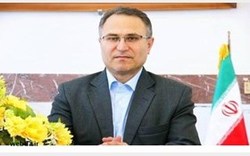مدیر ارشد وزارت بهداشت در تصادف رانندگی جان باخت