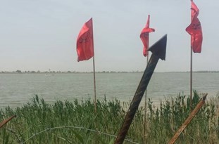 حکایت رشادت حکایت رشادت