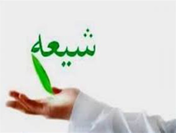 رد پایان نامه دانشجوی سعودی علیه امیرالمومنین (ع)