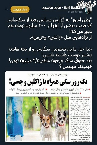 شغلی به نام «چرخاندن سگ» و دستمزد عجیبش