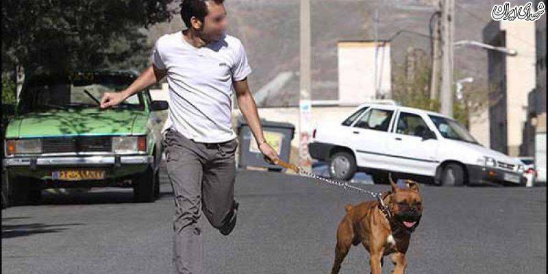 شغل سگگردانی با روزی 150 هزار تومان درآمد شغل سگگردانی با روزی 150 هزار تومان درآمد