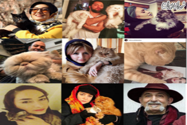 شغل سگگردانی با روزی 150 هزار تومان درآمد شغل سگگردانی با روزی 150 هزار تومان درآمد