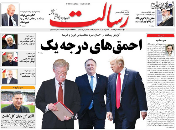 عکس/ احمق‌های درجه یک