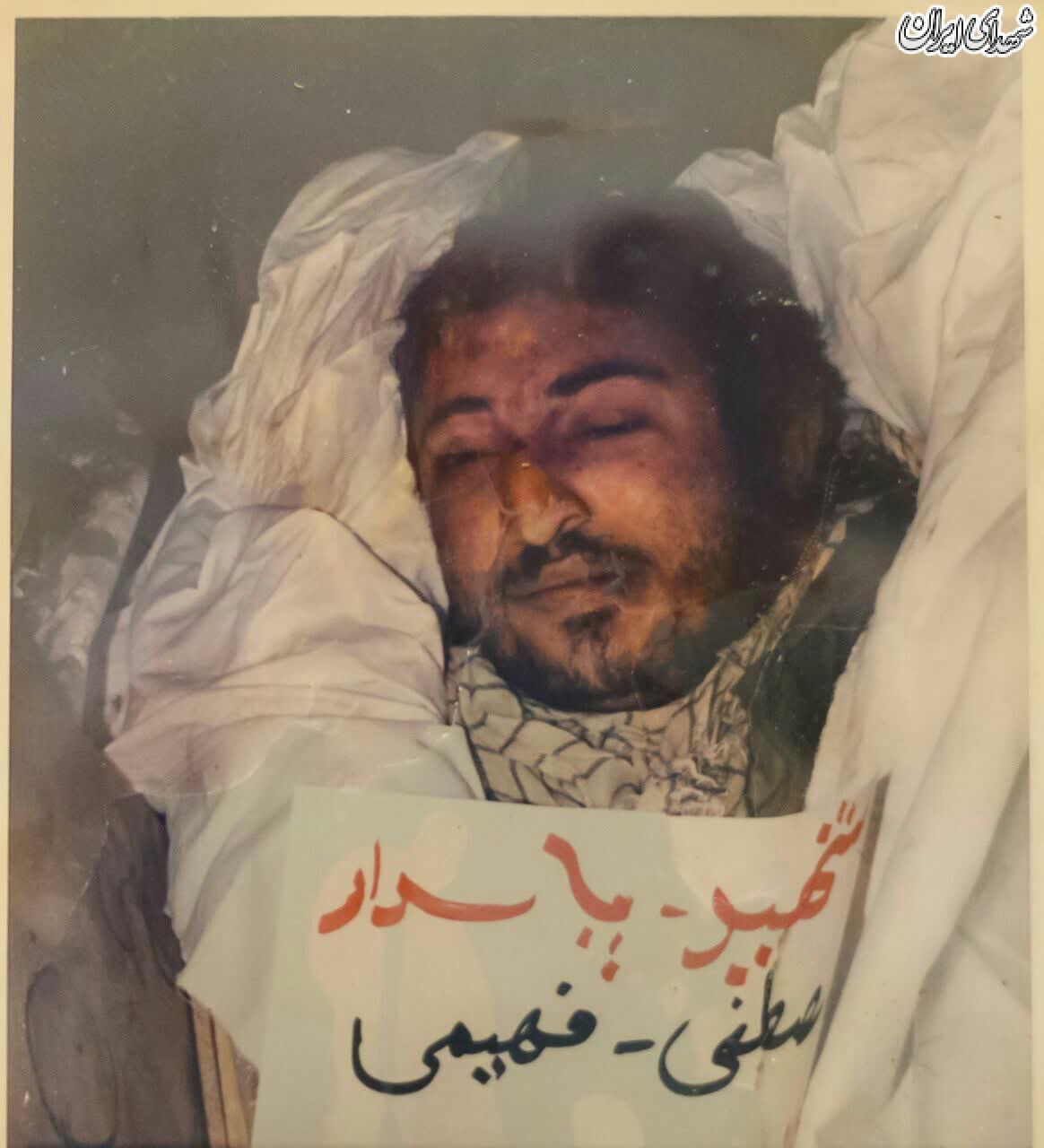 «مصطفی» پیام مورچه را فهمید! + عکس «مصطفی» پیام مورچه را فهمید! + عکس