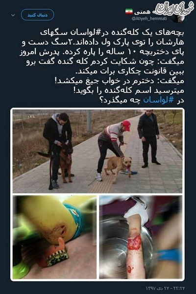 سگبازی کلهگندهها به قیمت امنیت مردم سگبازی کلهگندهها به قیمت امنیت مردم