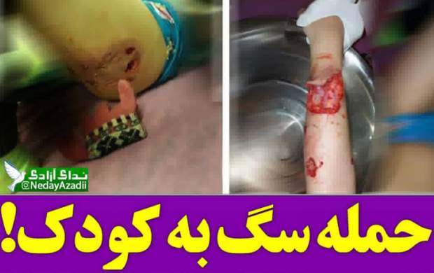 فیلم/دفاع افراطی بهنوش بختیاری از سگها فیلم/دفاع افراطی بهنوش بختیاری از سگها