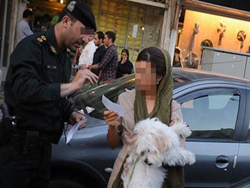 سگ گردانی در تهران ممنوع شد سگ گردانی در تهران ممنوع شد