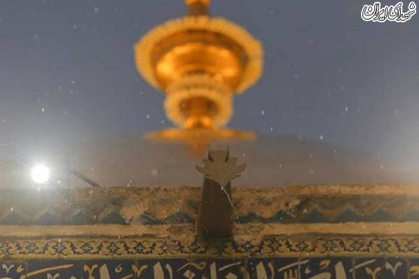 بارش رحمت الهی در کربلا و نجف + عکس بارش رحمت الهی در کربلا و نجف + عکس