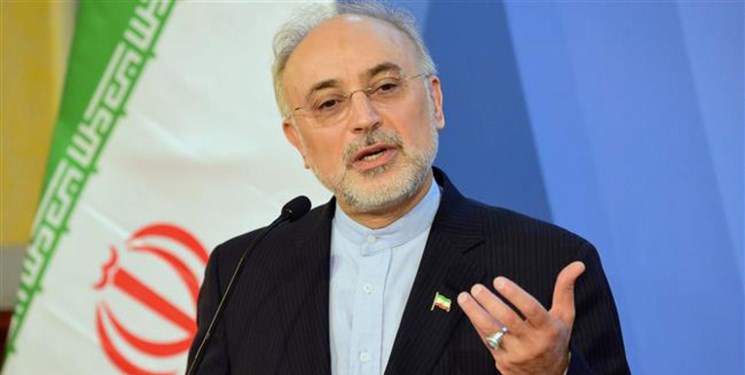 صالحی:طول کشید تا خیلیها باور کنند آمریکا دشمن ماست صالحی:طول کشید تا خیلیها باور کنند آمریکا دشمن ماست