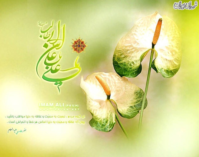 عکس/طرح ولادت امام علی (ع)