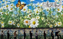 عکس/ اجتماع منتظران ظهور در مشهد