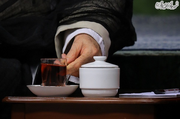 عکس/ دیدار جمعی از شاعران و اهالی فرهنگ و ادب
