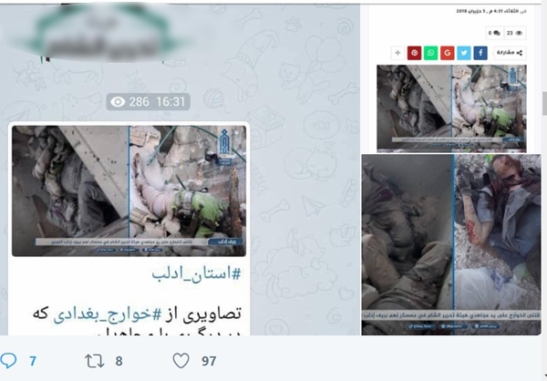 داعشی که ضدانقلاب آن را معترض معرفی میکند+عکس داعشی که ضدانقلاب آن را معترض معرفی میکند+عکس