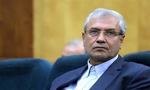 ربیعی: تلاش دولت برای ممانعت از افزایش قیمتها
