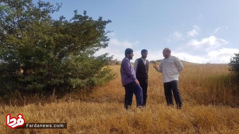 سفر جهادی 