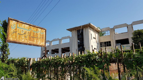 عاقبت یکی از معروف ترین کارخانه های چای ایران