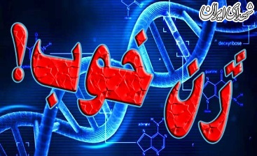 ژن خوب بنیاد شهید چند پرونده اتهامی دارد؟! ژن خوب بنیاد شهید چند پرونده اتهامی دارد؟!
