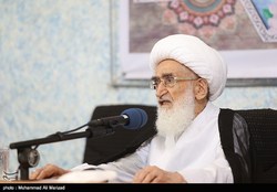 آیت الله نوری همدانی: هیچ اشرافی بر قیمت ها نیست