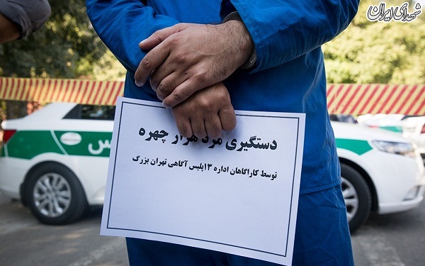 دستگیری سارقان و قاچاقچیان کالا و ارز