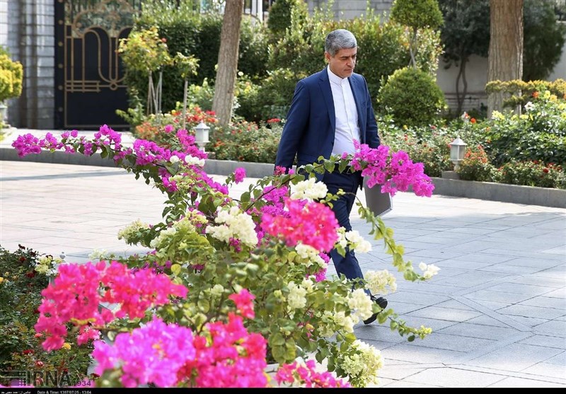 حضور طیب نیا در حاشیه جلسه دیروز دولت + عکس