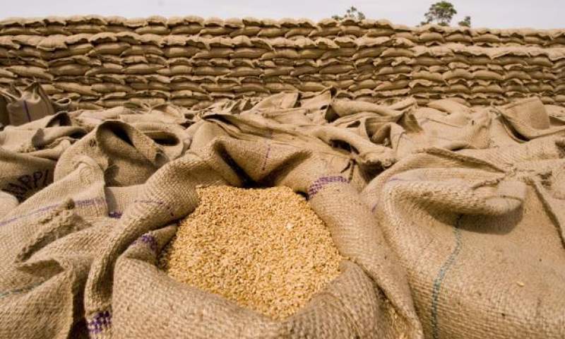 قیمت خرید تضمینی گندم۱۴۷۰تومان تعیین شد + جدول قیمت خرید تضمینی گندم۱۴۷۰تومان تعیین شد + جدول