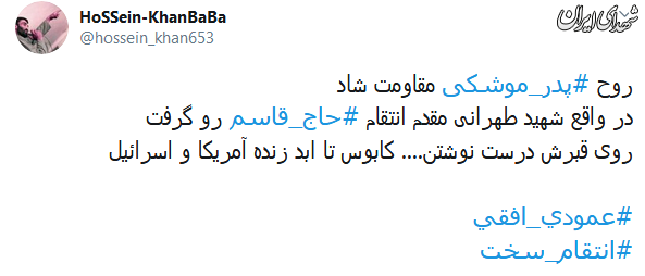 شهیدی که انتقام حاج قاسم را گرفت